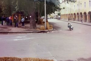 img 1161D294BDEA 6AB3 6FDA 30D7 1B474ACEF0B6